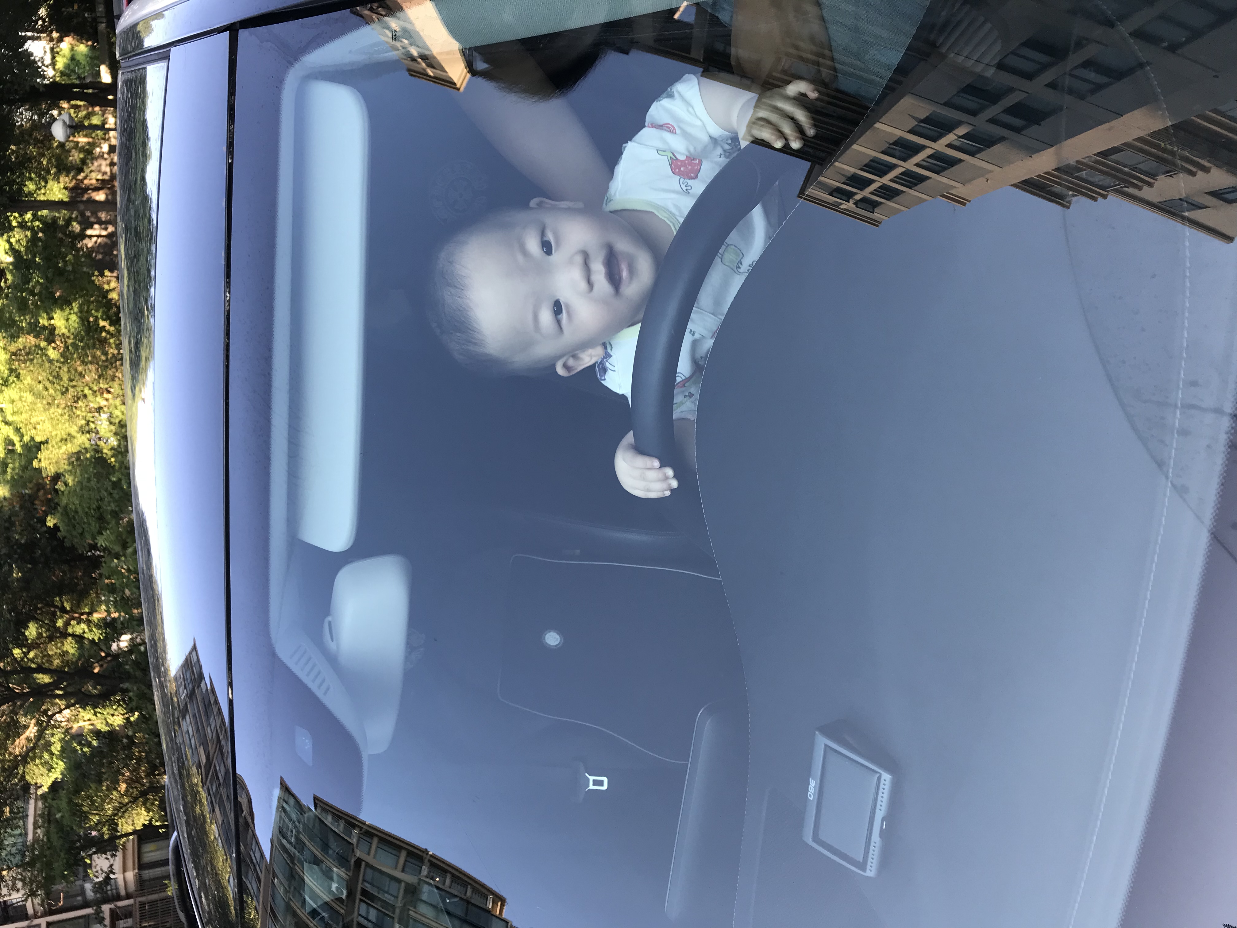 mmexport1533127454602.jpg